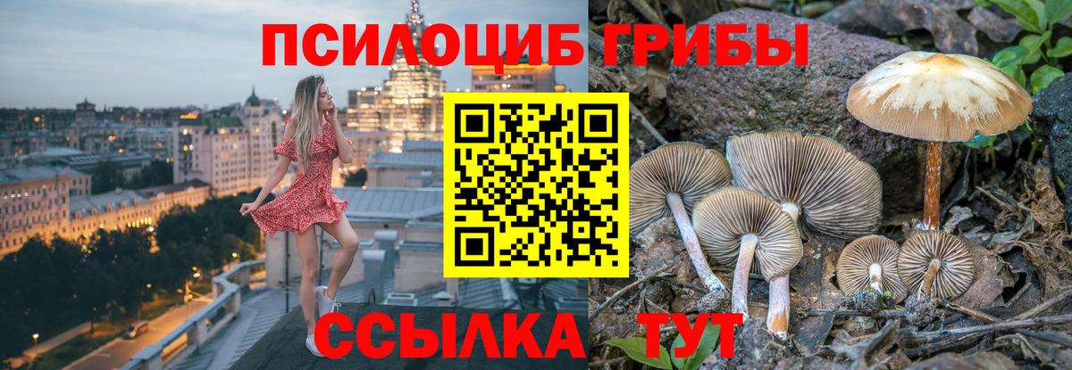 Псилоцибиновые грибы мухоморы Гусь-Хрустальный