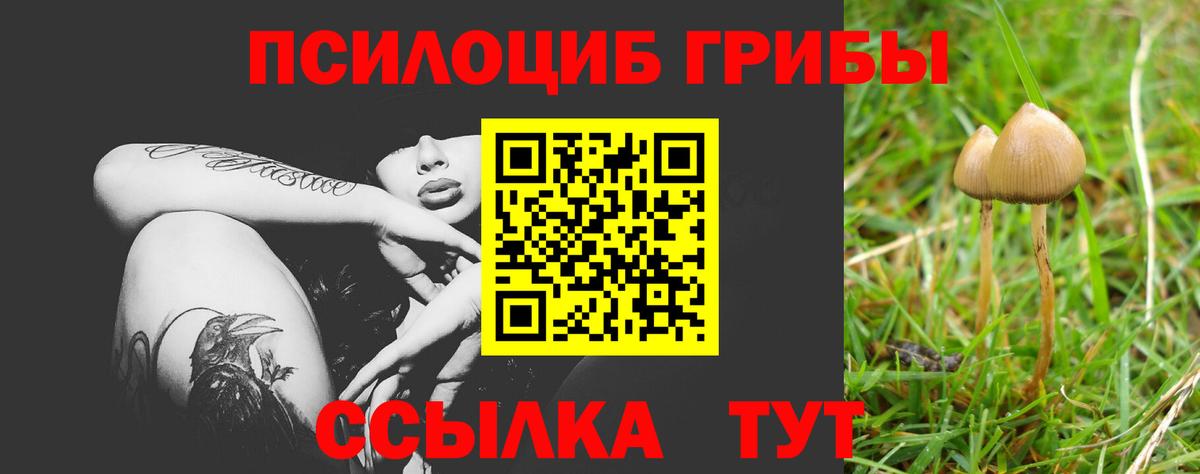 Псилоцибиновые грибы ЛСД  Вход с VPN  Псилоцибиновые грибы Psilocybe  Гусь-Хрустальный 